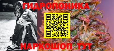 дурь Новозыбков